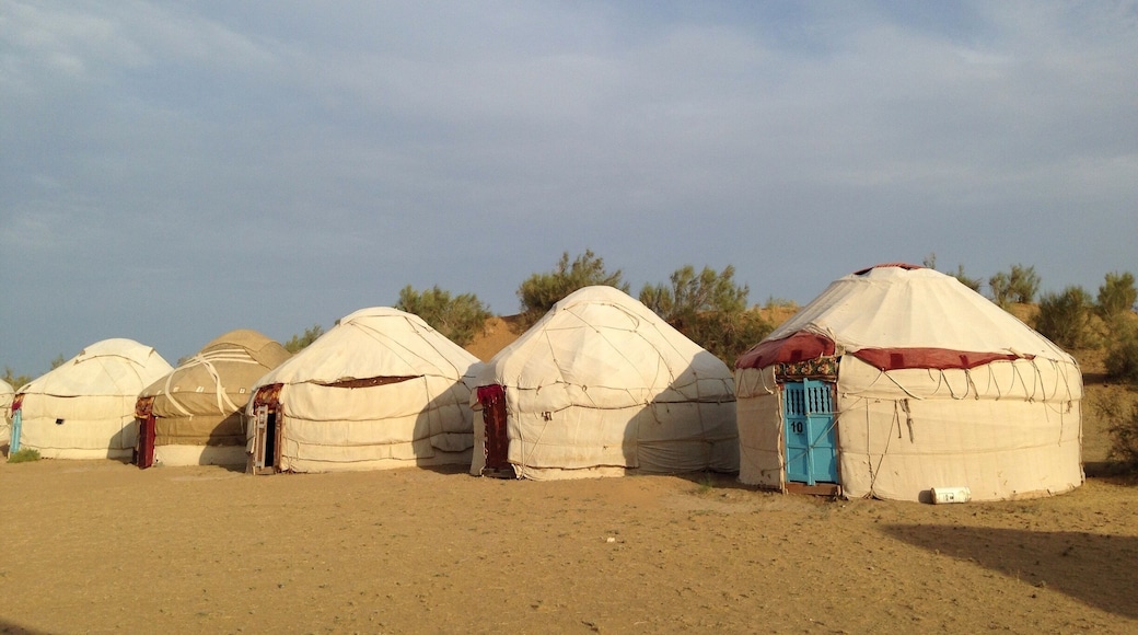 I know Mongolian gers quite well now. These yurts in the desert to the north of Uzbekistan are similarly constructed from layers of felt around poles. The inside is decorated very sparsely with thin mattresses on the carpet.
