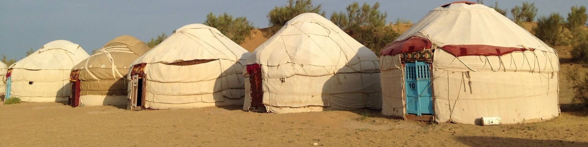 I know Mongolian gers quite well now. These yurts in the desert to the north of Uzbekistan are similarly constructed from layers of felt around poles. The inside is decorated very sparsely with thin mattresses on the carpet.
