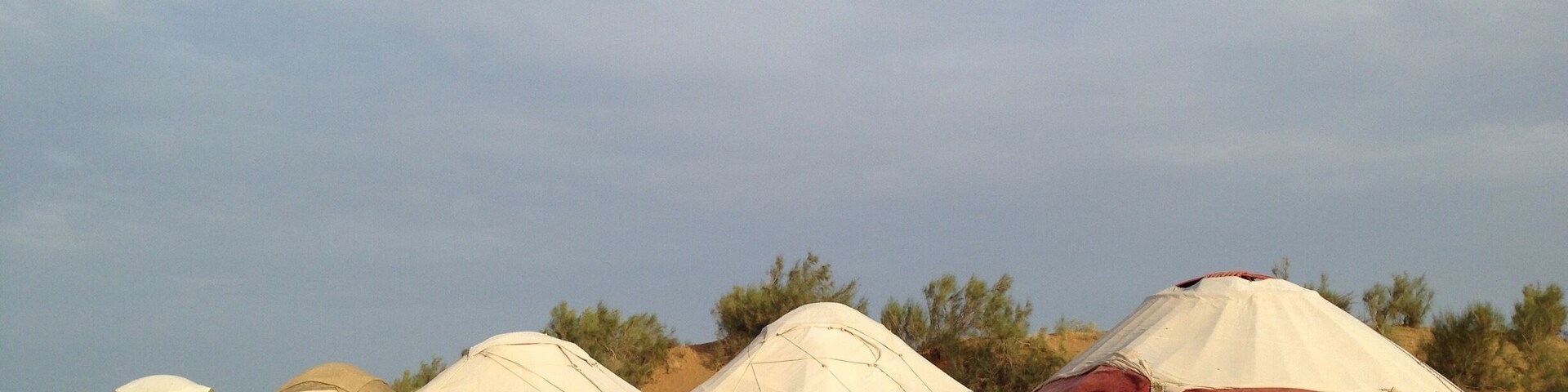 I know Mongolian gers quite well now. These yurts in the desert to the north of Uzbekistan are similarly constructed from layers of felt around poles. The inside is decorated very sparsely with thin mattresses on the carpet.
