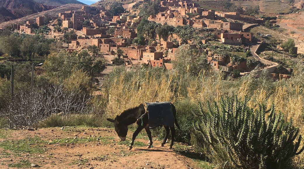 Just an hour drive from Marrakech, discover the villages of the Atlas Mountains in Morocco. #lifeatexpedia #morocco