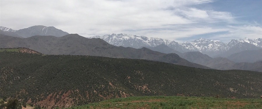 Lunch with this view was amazing an hour from Marrakech in a beautiful village with the locals !!