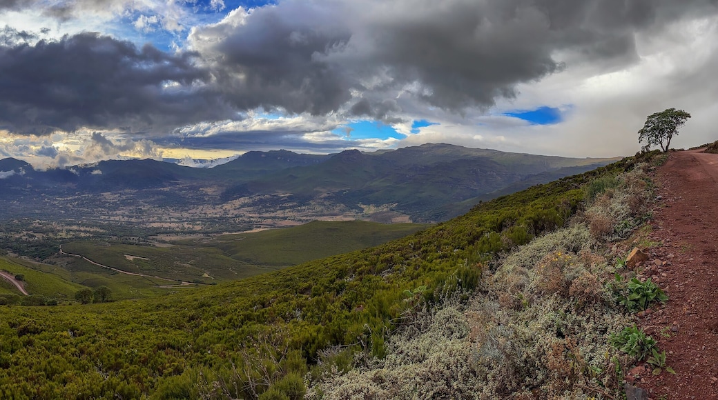 Bale mountains – beautiful unique montane landscape from Ethiopean Great Rift Valley, Ethiopia.