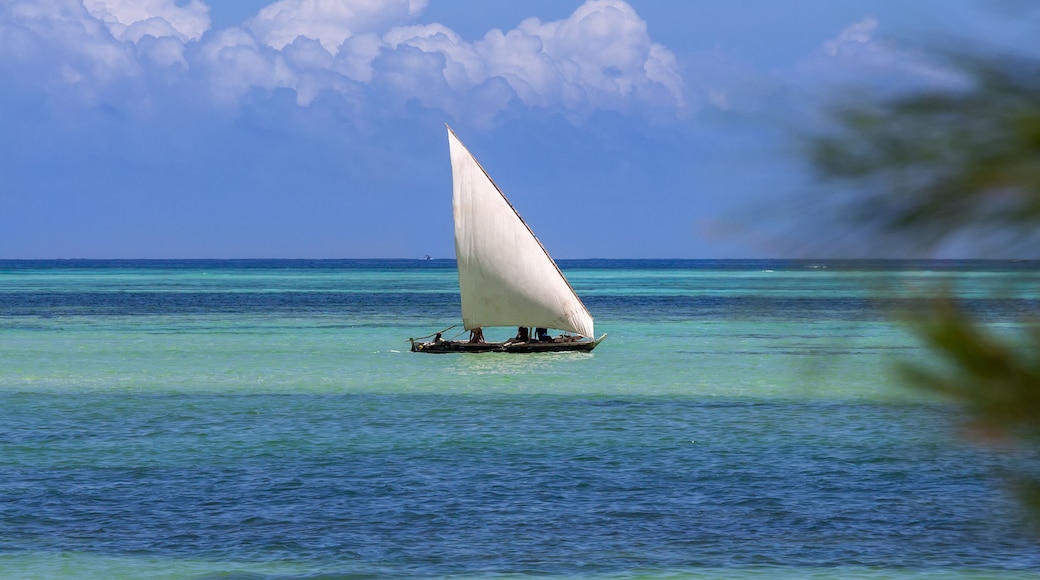 Zanzibar is on the Indian Blue Ocean. Zanzibar