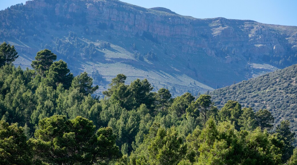 Provincia de Jenchela