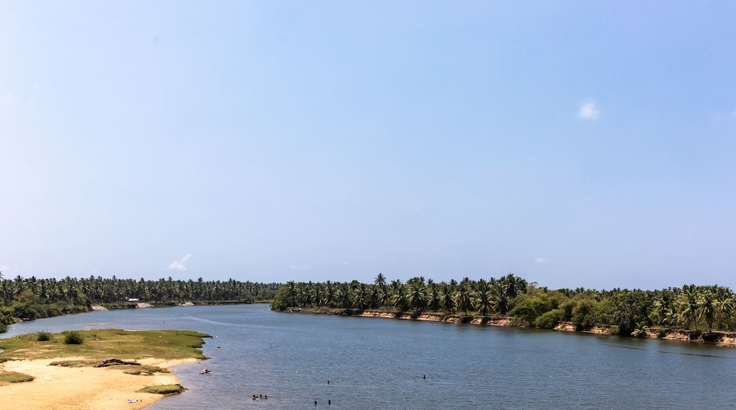 Sri Lanka, North Western Province, road to Wilpattu National Park