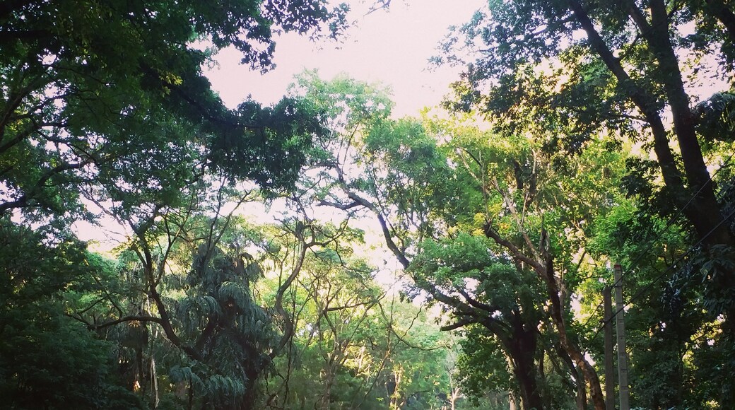 Early morning deserted Road