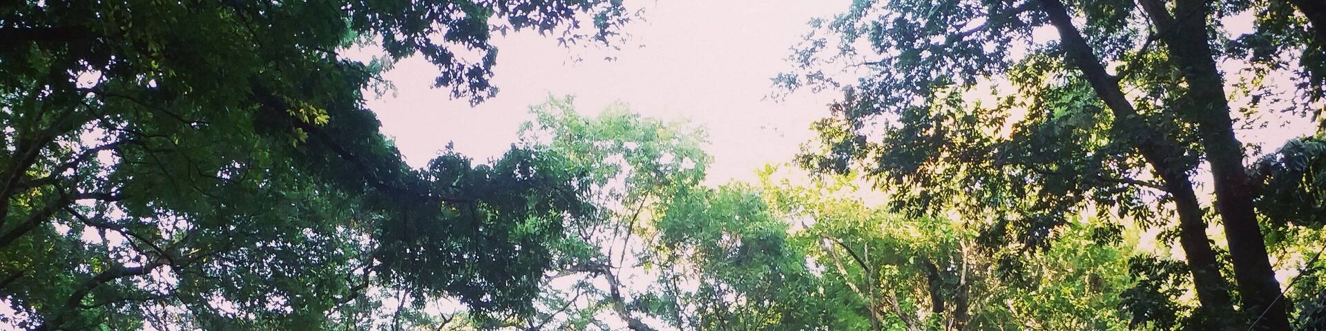 Early morning deserted Road