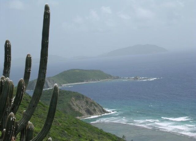 Tropical cacti.
#cactus #tropical #ocean #tide #waves #island #caribbean #virginislands #britain