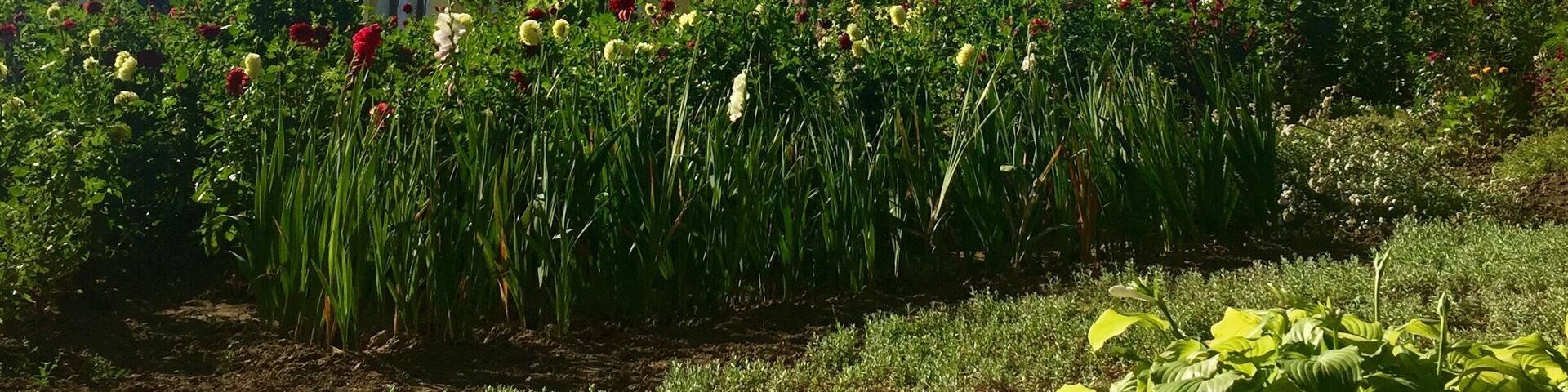 Moldova- Orthodox Monastery Hancu