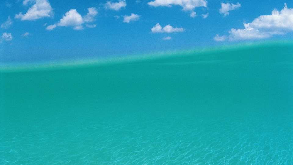 A clear blue sky above turquoise ocean water.