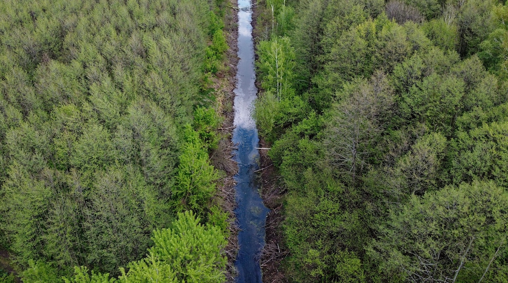 Oblast de Tchernihiv