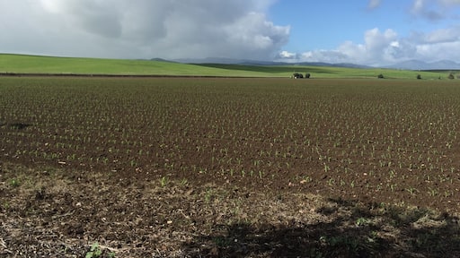 I love living in the country it's so beautiful.