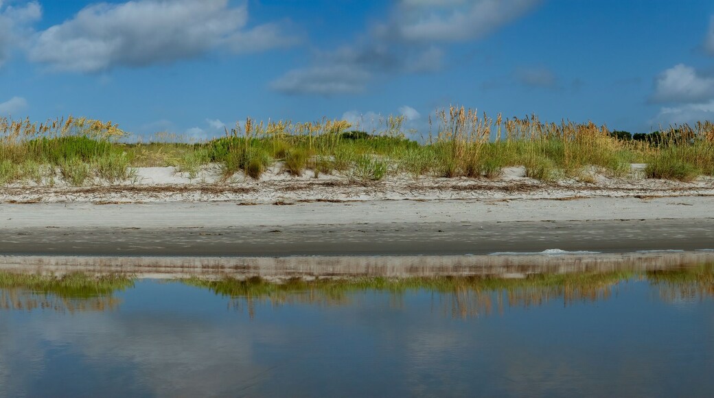 Sea Oats in the dunes at East Beach as viewed from the surf, St Simons Island, GA