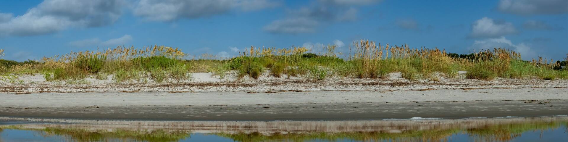 A beach with sand dunes and tall grasses under a clear sky.