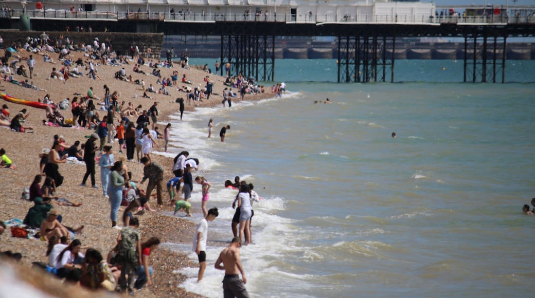 Brighton beach, East Sussex, UK - 08.08.2024: Brighton beach people sunbathing on shingle pebble beach sunny day with blue sky, Brighton pier behind