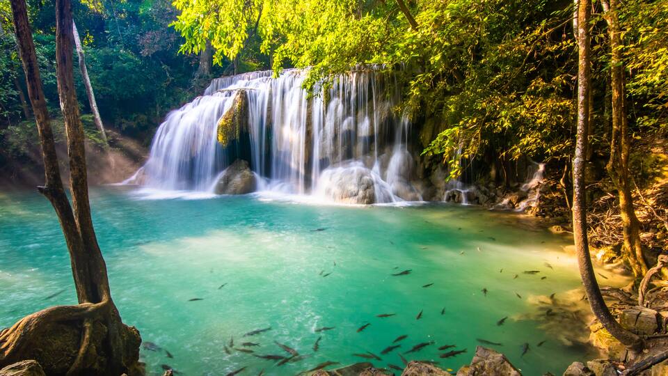 A waterfall cascading into a clear turquoise pool surrounded by lush greenery.