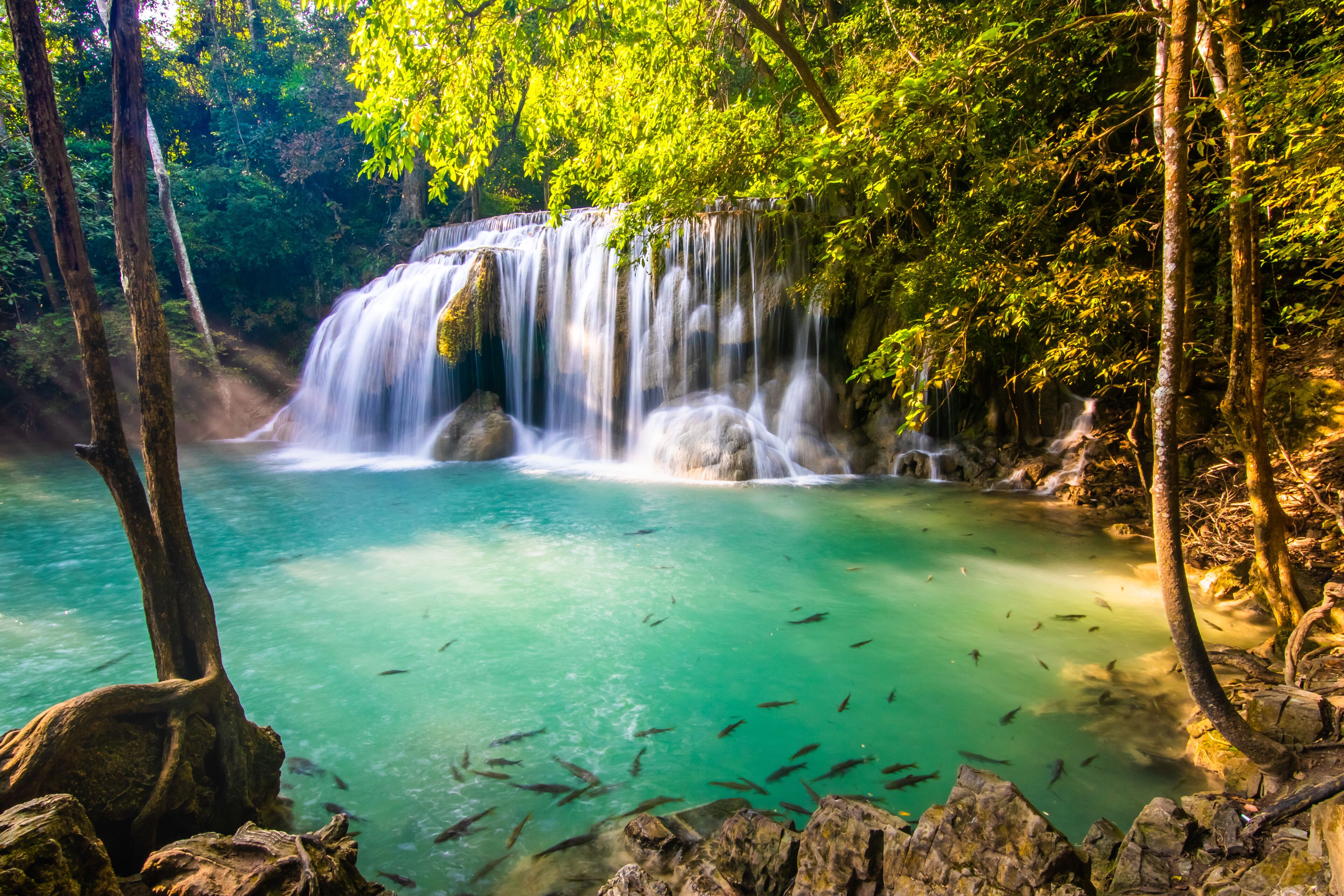 A waterfall cascading into a clear turquoise pool surrounded by lush greenery.