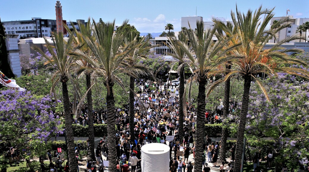 Culver City Protest #2