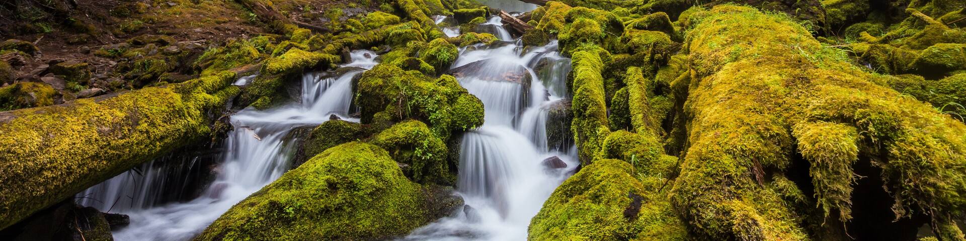 Proxy falls in Oregon forest