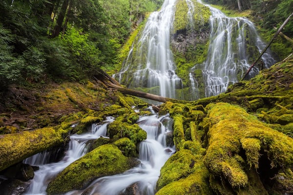 Proxy falls in Oregon forest