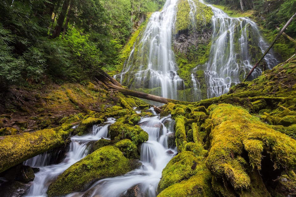 A multi-tiered waterfall surrounded by lush greenery and moss-covered rocks.