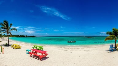 Life is Beautiful (At The Beach)