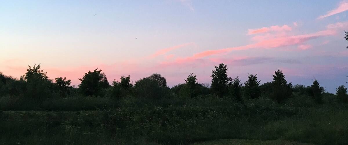 A clear sky with a pinkish contrail and a sunset.