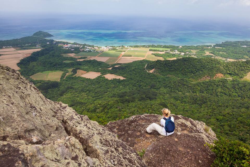 A person sitting on a rocky outcrop overlooking a coastal landscape with fields and a distant island.