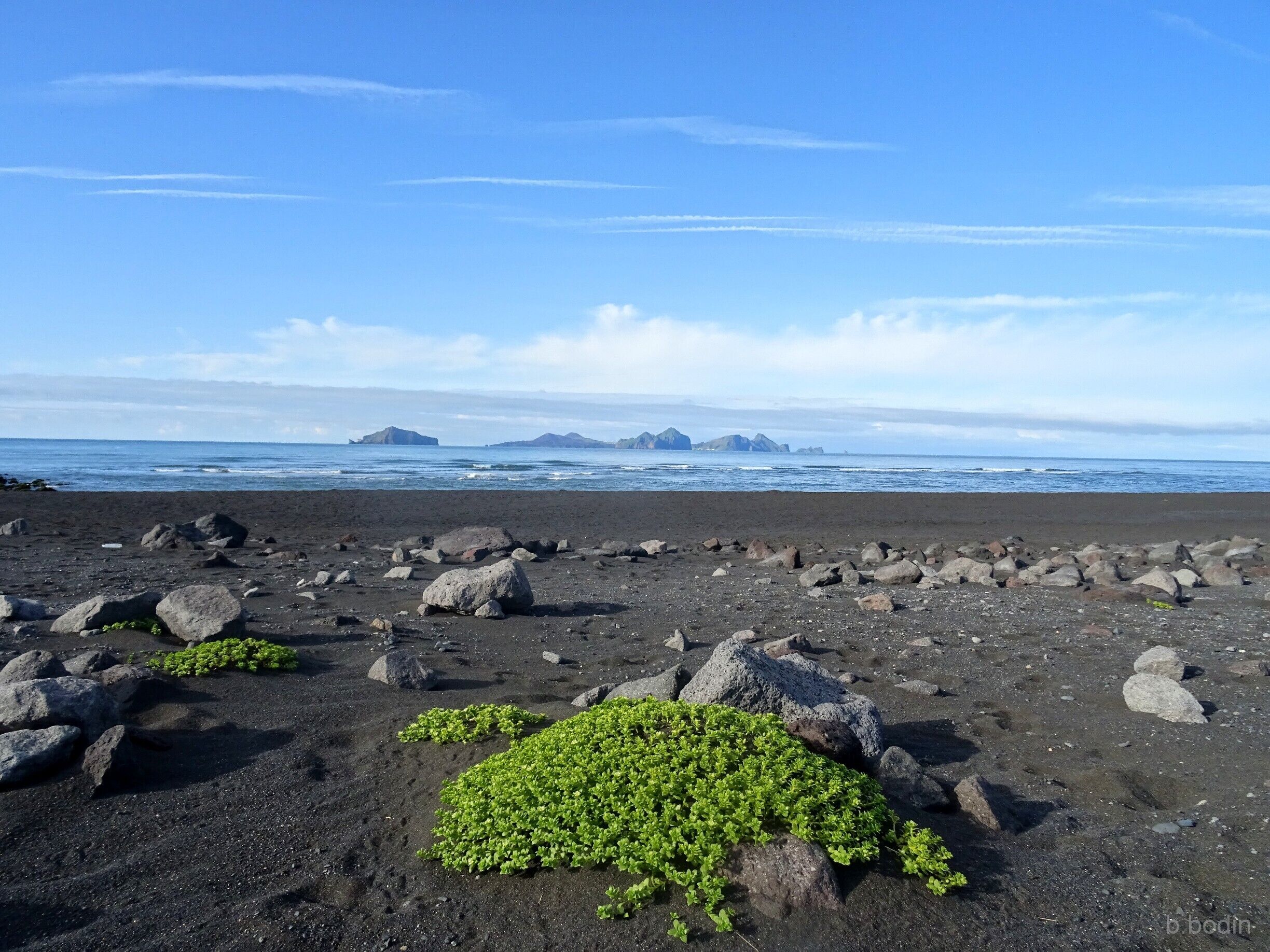 Uma praia rochosa com vegetação verde dispersa e ilhas ao longe.