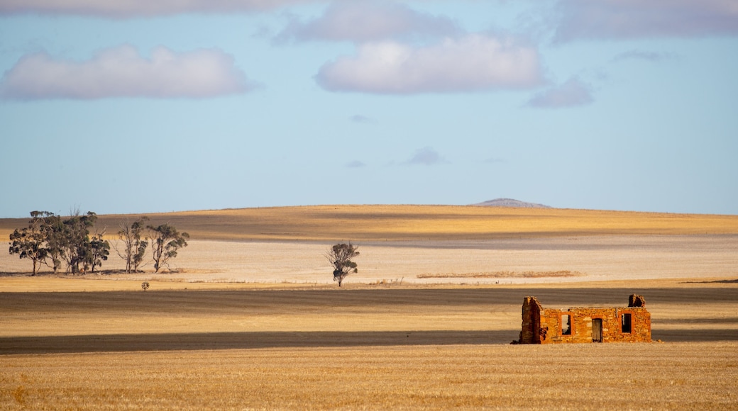 Clare Valley showing tranquil scenes