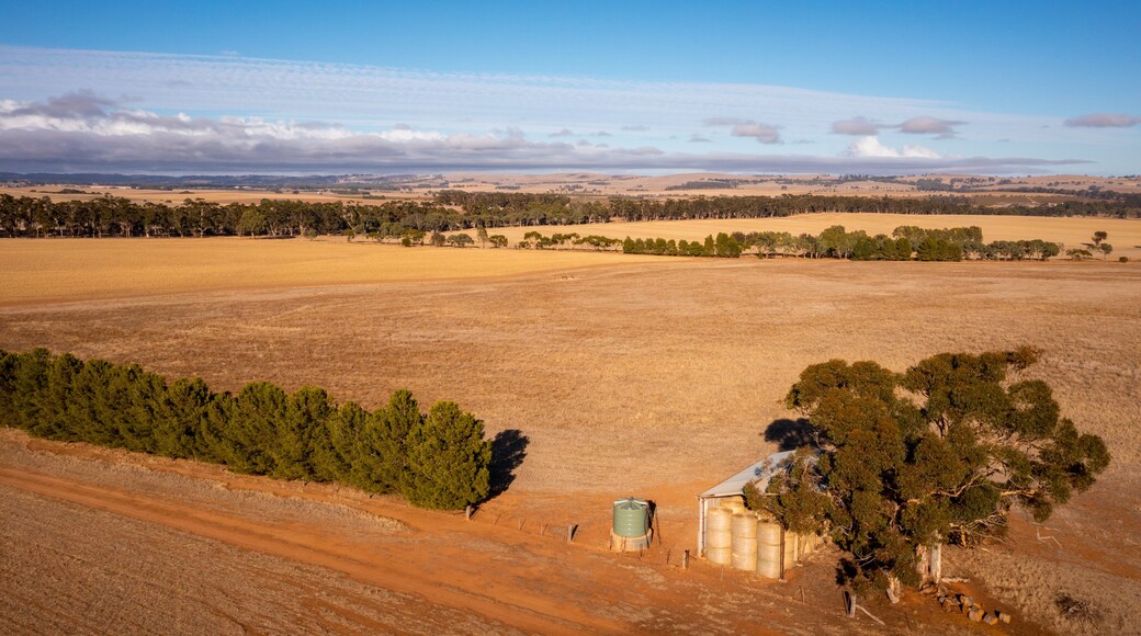 Clare Valley featuring landscape views, desert views and tranquil scenes