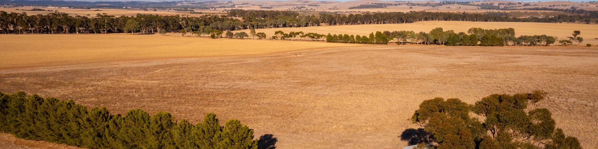 Clare Valley featuring landscape views, desert views and tranquil scenes