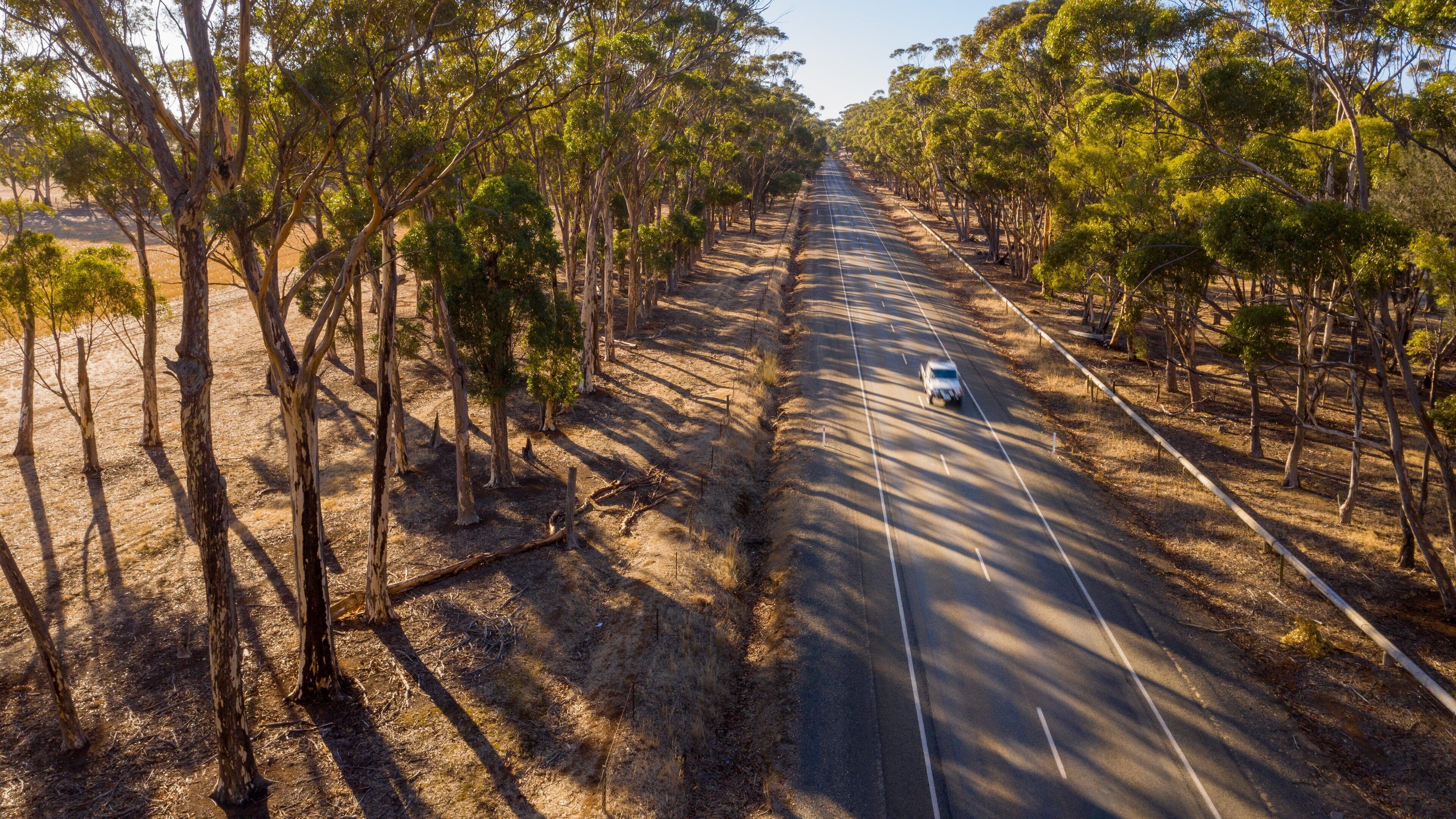 A road flanked by trees with a vehicle in the distance.
