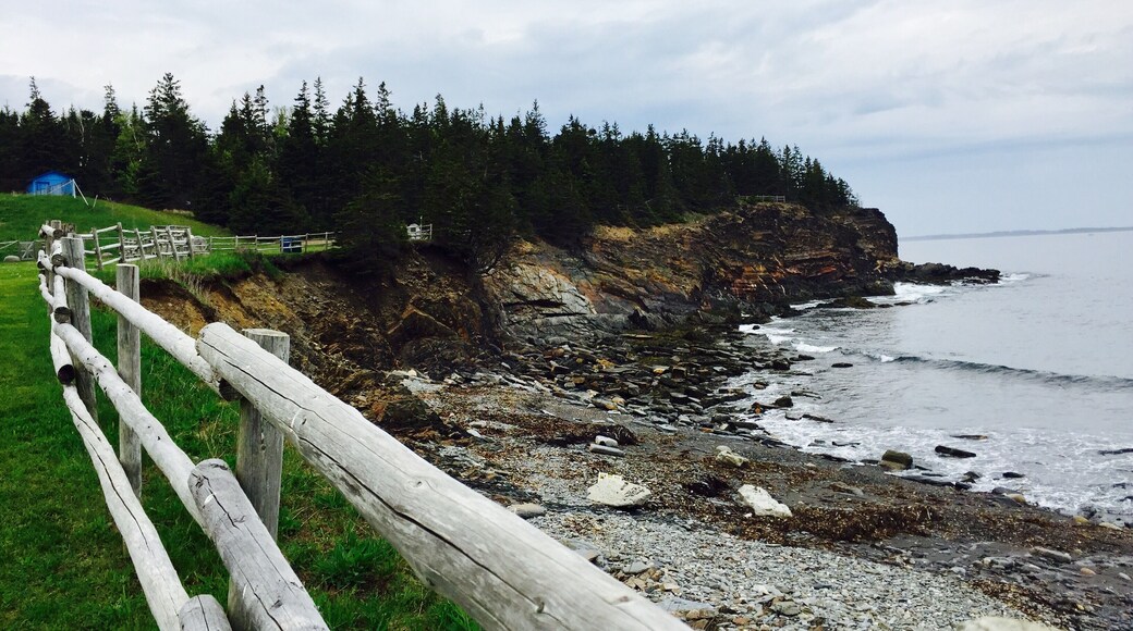A lovely beach with people panning for gold and a nice little trail where you can see all the caves in the cliffs! Worth a visit 😀
#GreatOutdoors