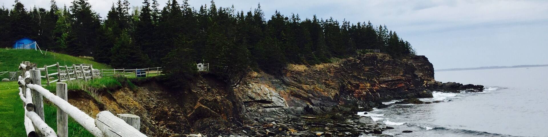 A lovely beach with people panning for gold and a nice little trail where you can see all the caves in the cliffs! Worth a visit 😀
#GreatOutdoors