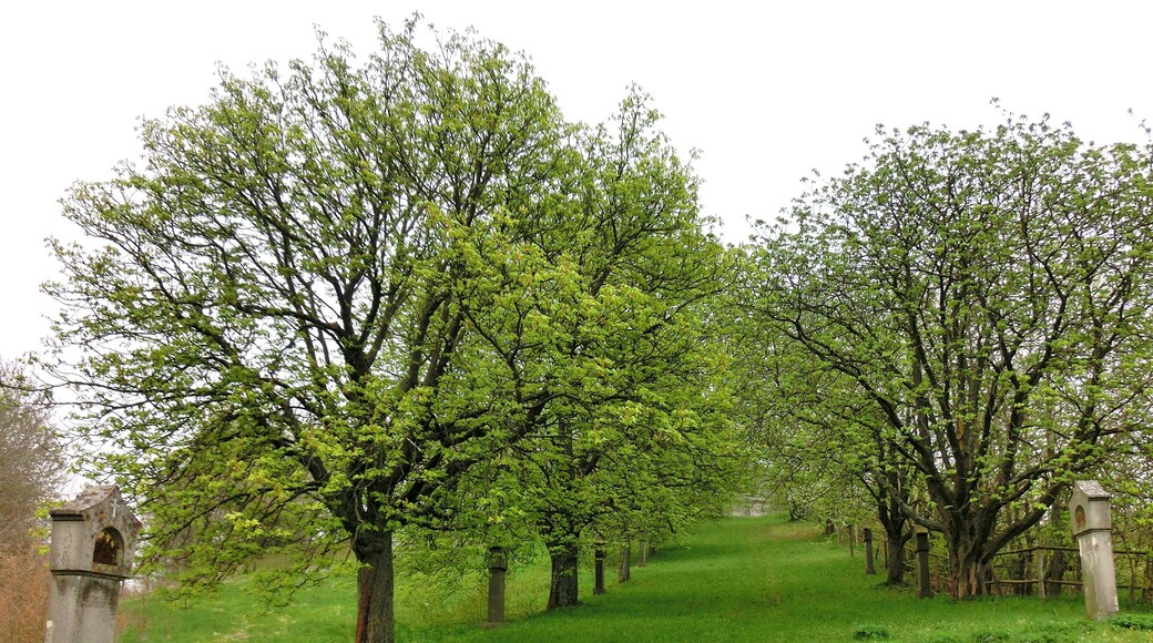 Kreuzweg zum Barbaraberg 1