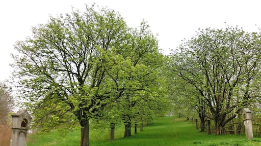 Kreuzweg zum Barbaraberg 1