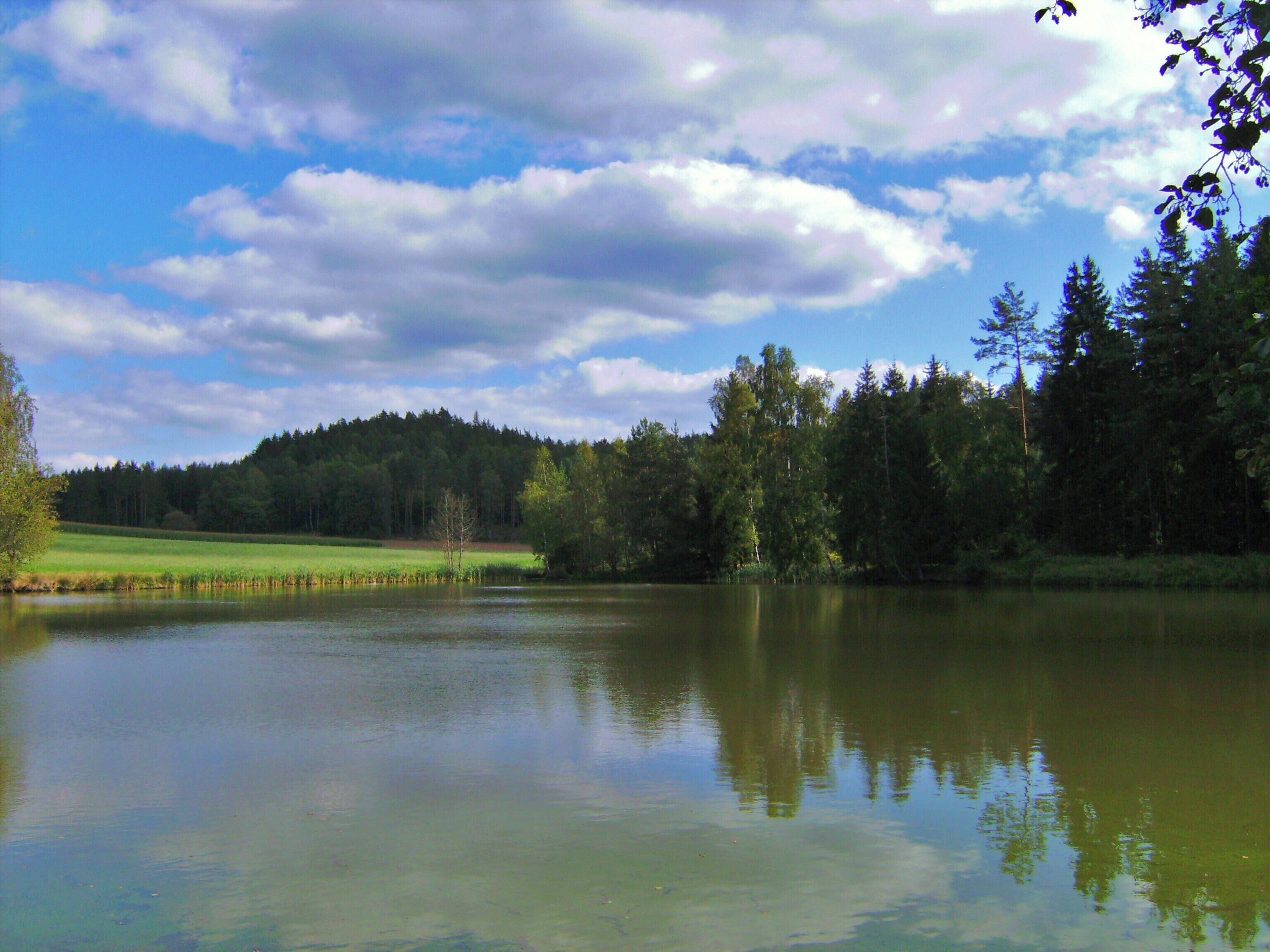 Weiher bei Dobertshof
