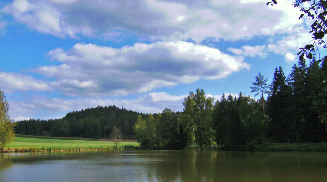 Weiher bei Dobertshof
