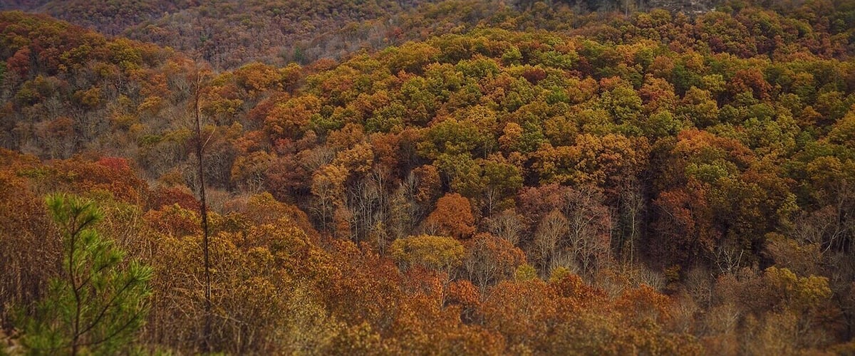 I caught the tail end of Fall color. Some areas had dropped most of their leaves, but some canyons still had most of their leaves. This was the view just off the trail. Infront of me was a few hundred feet drop straight down. It really shows the massive though and where water cut out the soft rock.