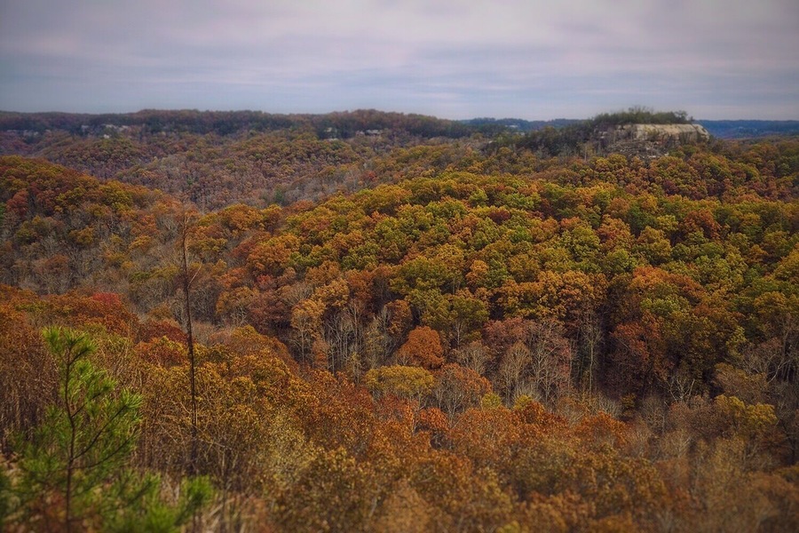 I caught the tail end of Fall color. Some areas had dropped most of their leaves, but some canyons still had most of their leaves. This was the view just off the trail. Infront of me was a few hundred feet drop straight down. It really shows the massive though and where water cut out the soft rock.