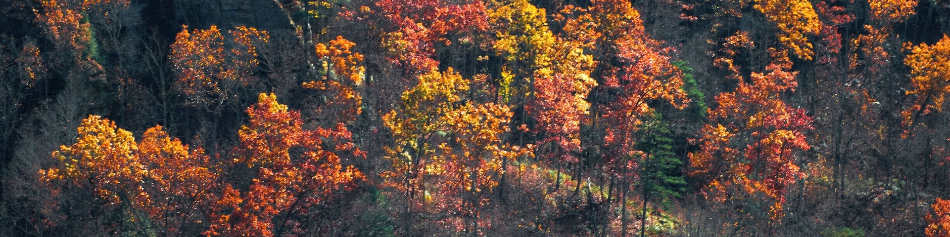 Rocky Branch Overlook taken from Jailhouse Rock, Red River Gorge, Kentucky USA