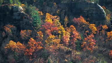 Rocky Branch Overlook taken from Jailhouse Rock, Red River Gorge, Kentucky USA