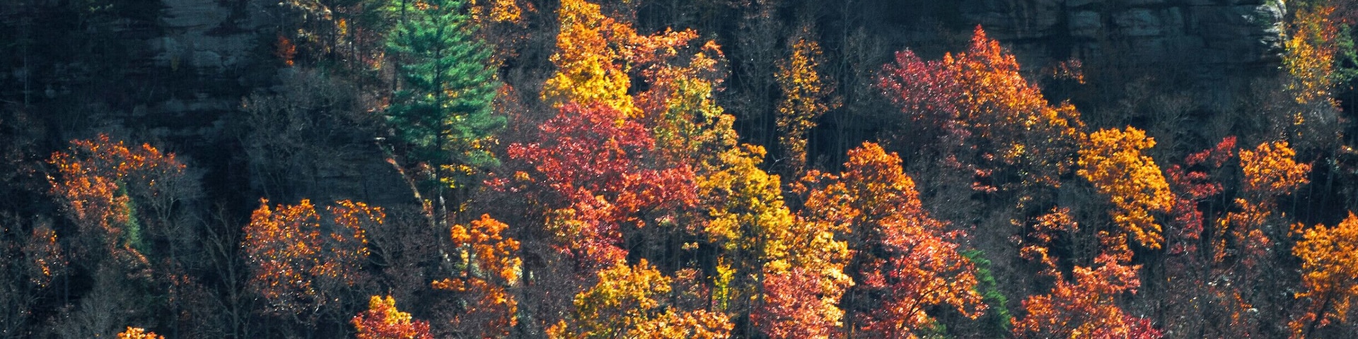 Rocky Branch Overlook taken from Jailhouse Rock, Red River Gorge, Kentucky USA