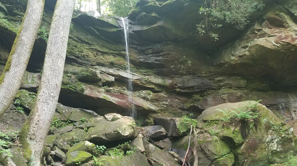 A road side waterfalls just down the road from Gladie Visitor Center. There is a pull off on the same side of the road as the falls.