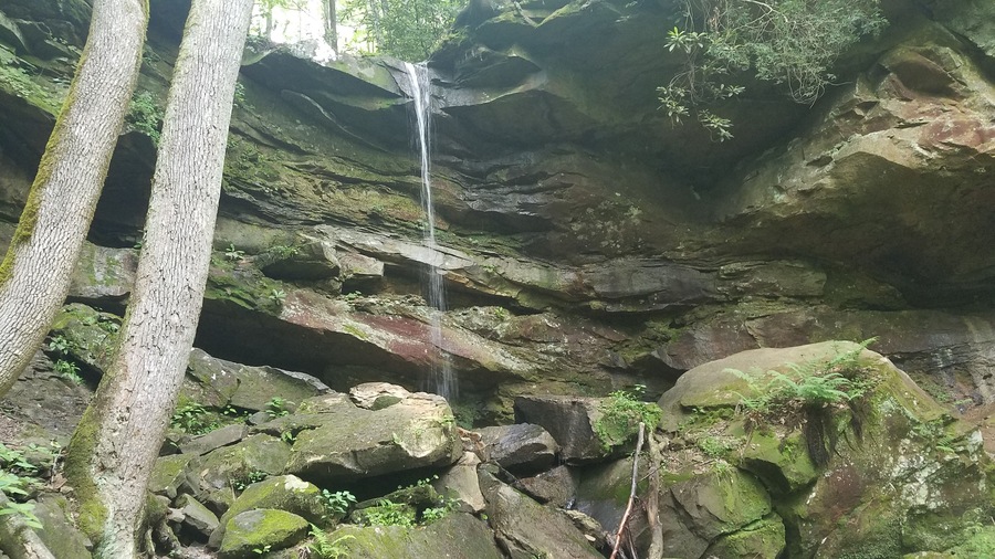 A road side waterfalls just down the road from Gladie Visitor Center. There is a pull off on the same side of the road as the falls.
