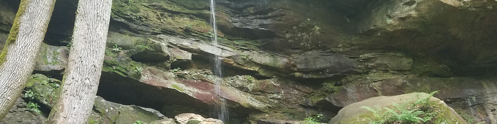 A road side waterfalls just down the road from Gladie Visitor Center. There is a pull off on the same side of the road as the falls.