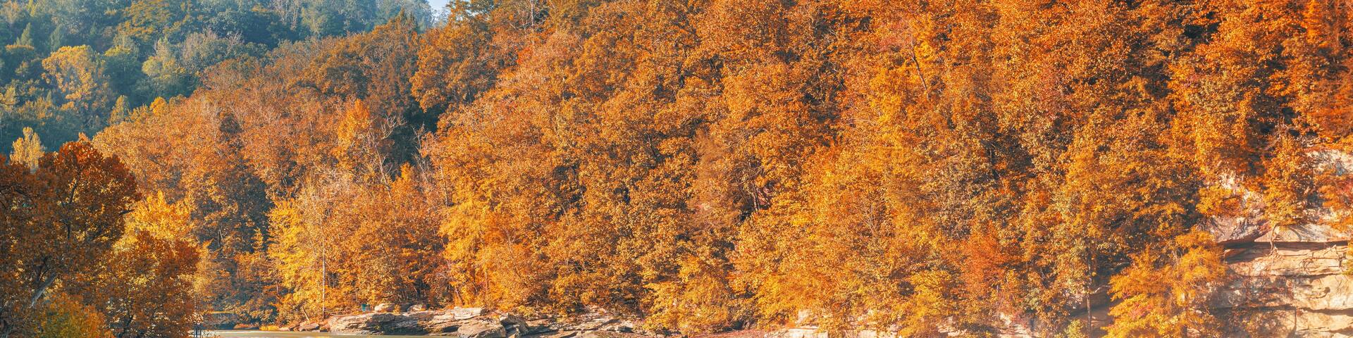 A waterfall surrounded by autumn foliage.