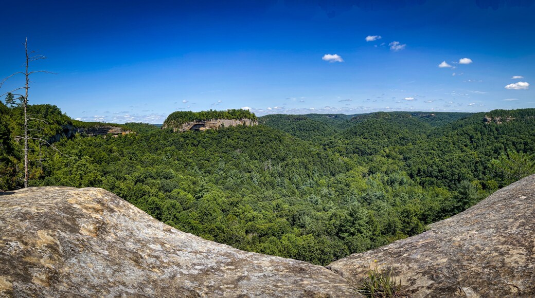 A view of rock formations such as Chimney Rock in Red River gorge area in Kentucky