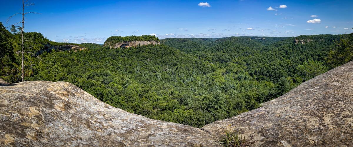 A forested valley with a prominent rock formation and a cliff with a cave-like structure.